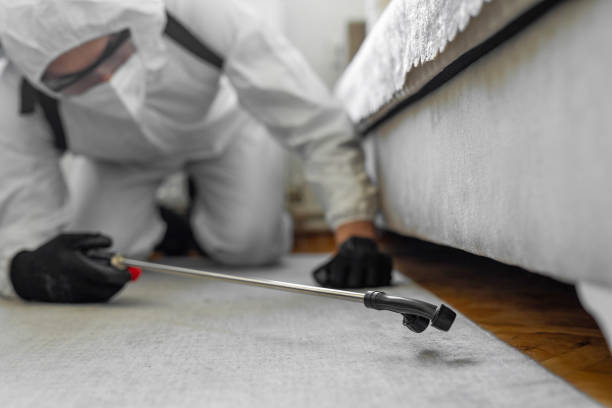 Professional Bed Bug Control technician working in Pierce County County, WI
